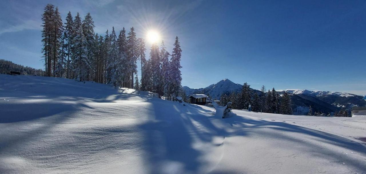 Appartement Michis Flachau
